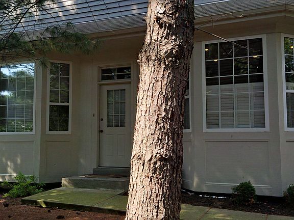 4th image of 10767 Gleneagle Dr