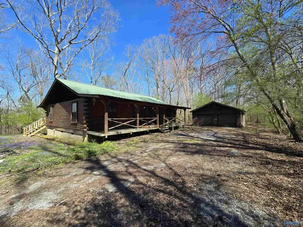 1029 Jolley Dr, Horton, AL 35980