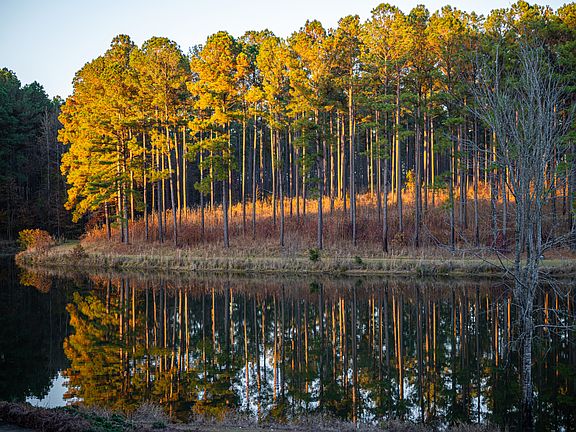 36th image of this home