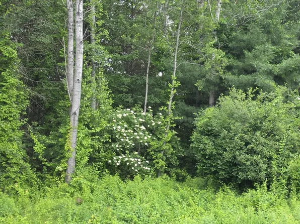 Stockbridge Corner Road #14-3, Alton, NH 03809