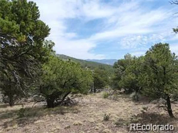 4584 Laidlaw Road, Fort Garland, CO 81133
