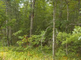 0 S Roberts Rd, Grayling, MI 49738