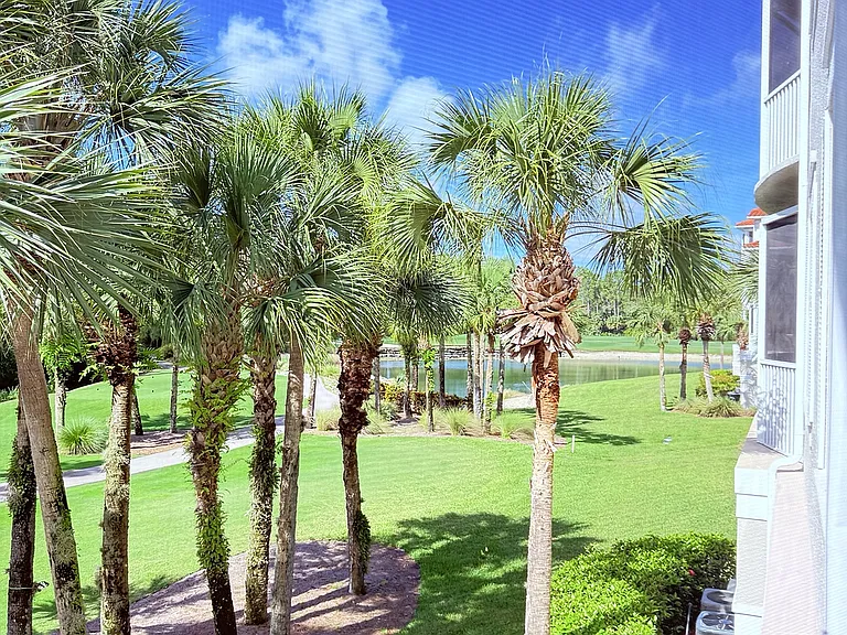 View from your patio