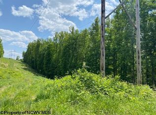 Near Salt Lick Rd, Terra Alta, WV 26764