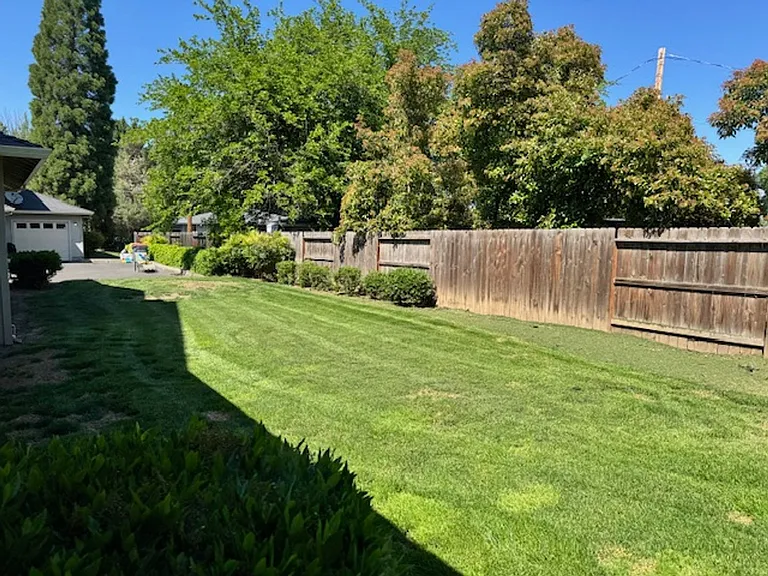 1043 Garfield St — Photo 3