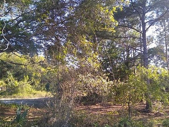3rd image of 28174 Chinquapin Dr