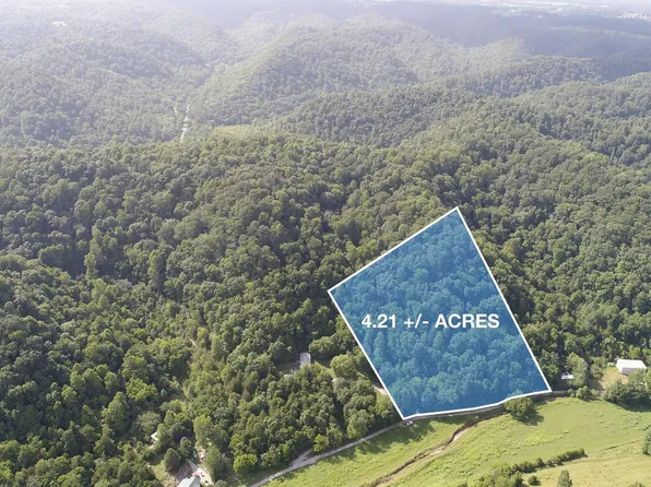 91 Carver Hollow Ln, Pleasant Shade, TN 37145