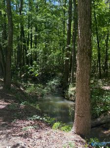 Owls Hollow Rd, Gadsden, AL, 35901