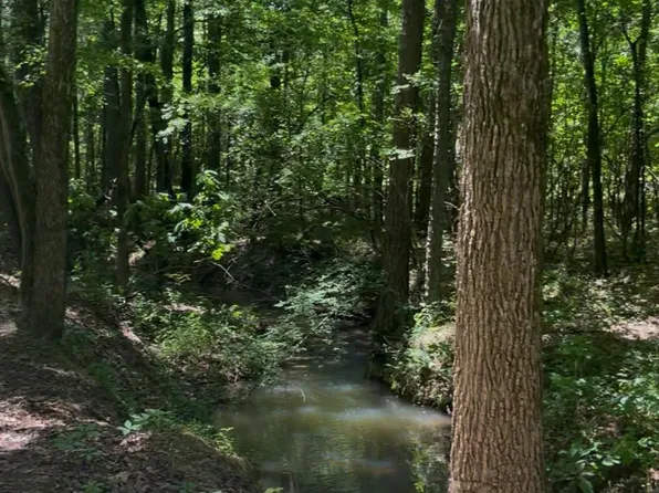 Owls Hollow Rd, Gadsden, AL 35901
