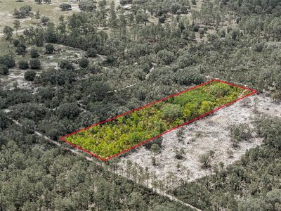 0 NE 56th St, Bronson, FL, 32621