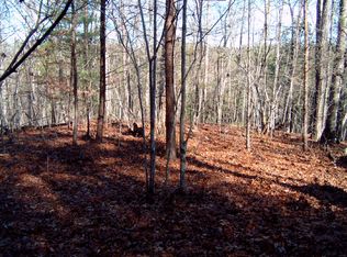 Turtle Ridge Ln, Ellijay, GA 30540