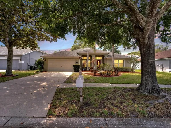 3701 Treeline Dr, Valrico, FL 33596