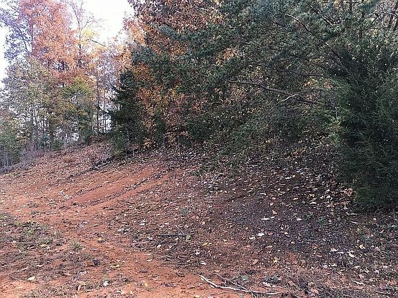 2nd image of 218 Polo Dr