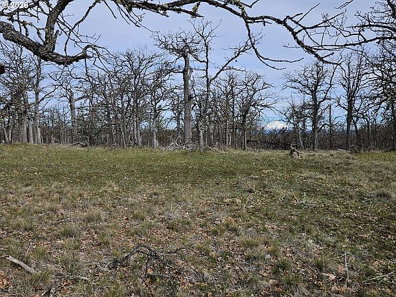4th image of 0 Ridgetop Rd N #107