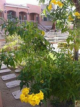 3rd image of 45245 Seeley Dr APT 17F