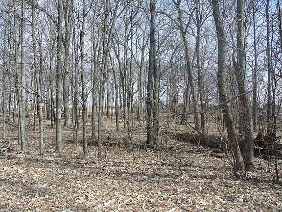 2nd image of 5857 Legacy Cir Lot 126