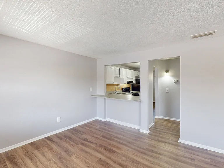 Living Room and Kitchen (1 Bedroom)
