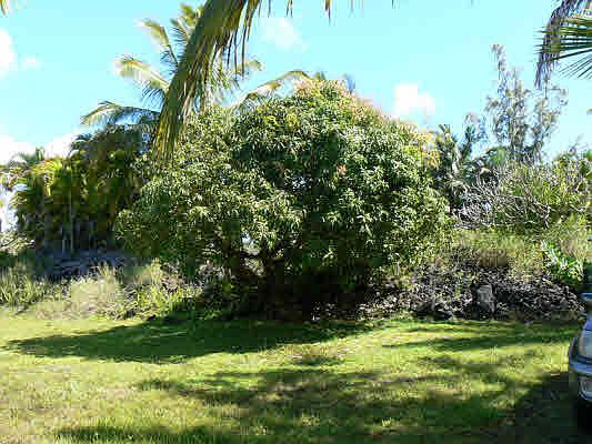 3rd image of 66 Kipuka St Lot 66