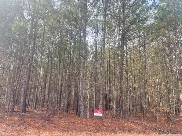 125 Roper Cir, Orangeburg, SC 29115