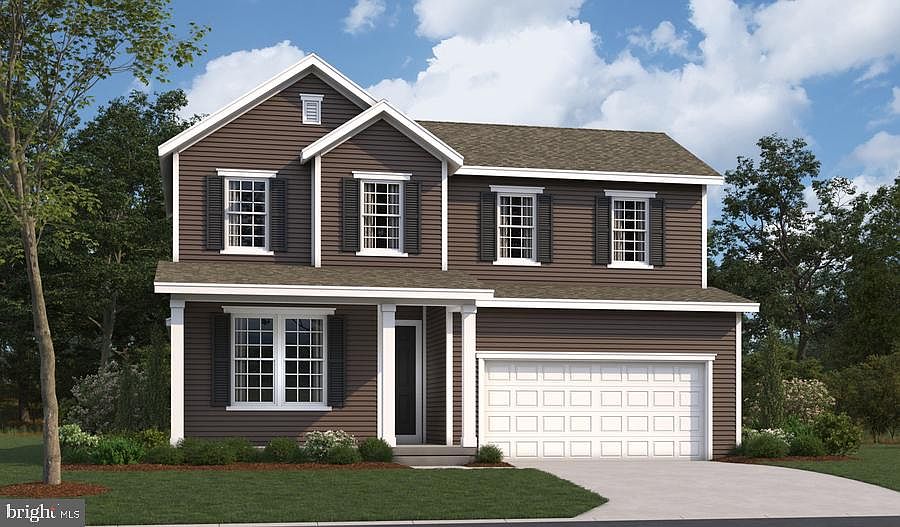 1st image of Clover Lane Elderberry