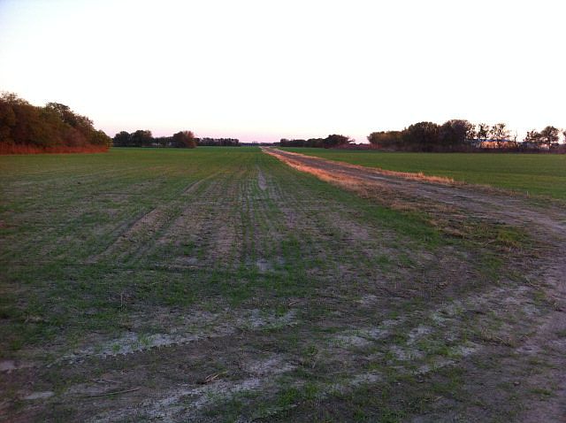 2nd image of Gin Rd