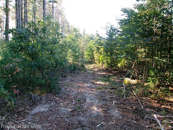 4th image of V/l 1 Mile Rd