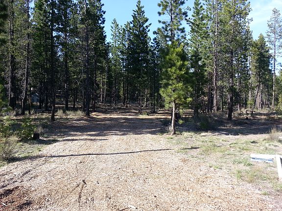 2nd image of 5 Acres Backs Nat Frst #Land
