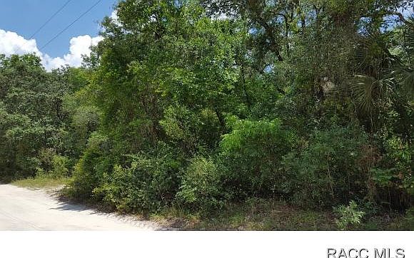 2nd image of 5076 E Marsh Lake Dr