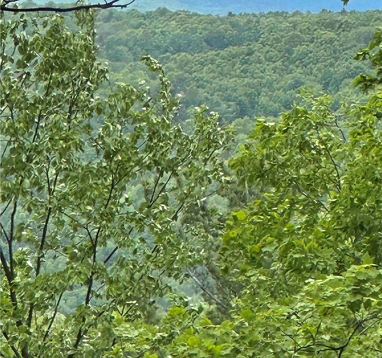 1st image of 1501 Old State Rd