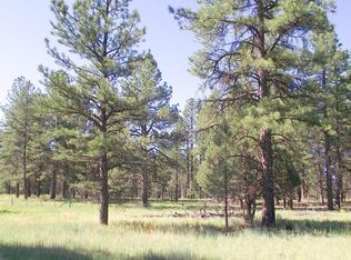 2687 Lazy East Rd, Williams, AZ 86046