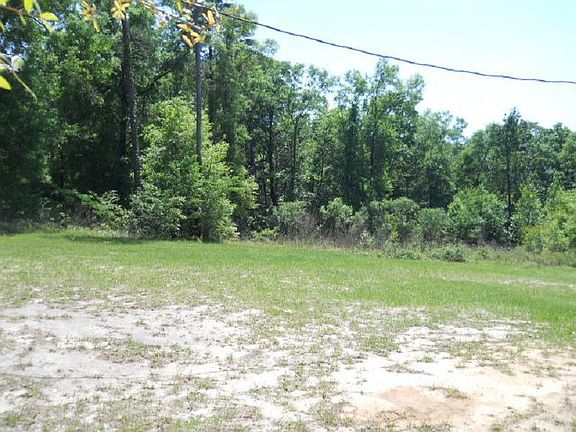 4th image of 533 Forest Dr N