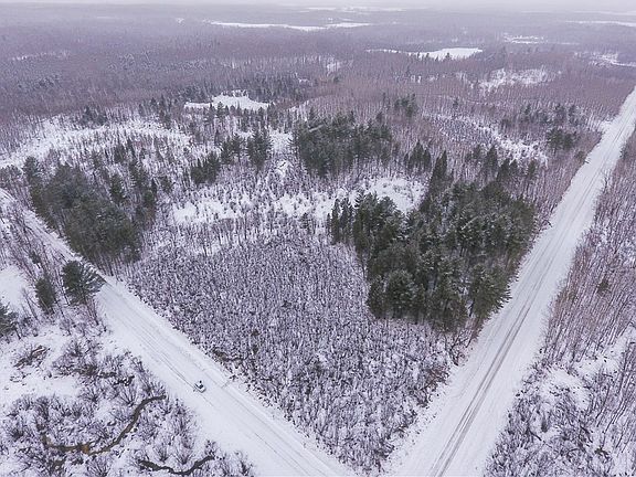 2nd image of 38 Acres Pinewood Drive