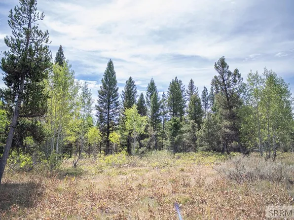 2819 NE Sagehen Dr, Island Park, ID 83429