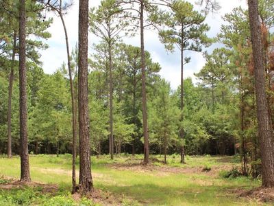 (Undisclosed Address), Notasulga, AL, 36866