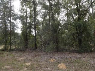 212 E Anton Dr, Citrus Springs, FL 34434