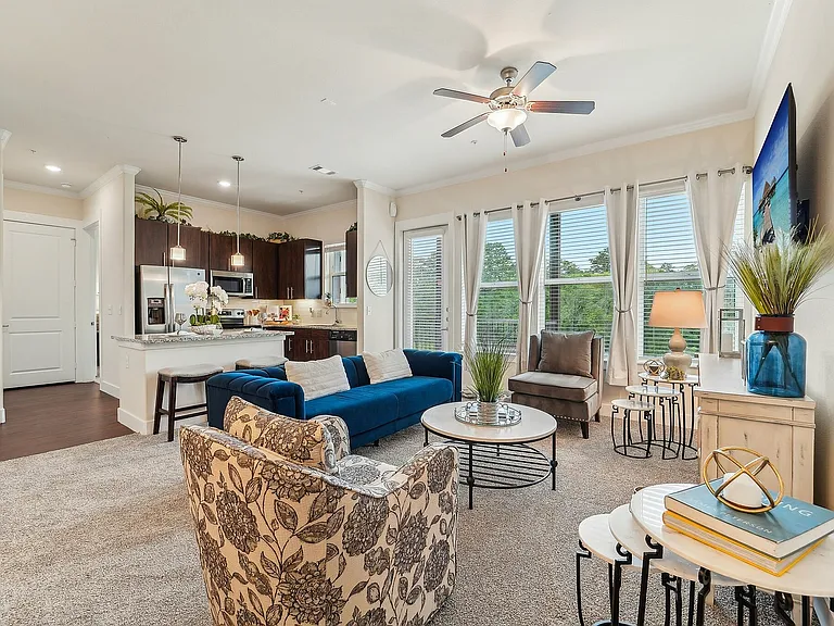 Living Room and Kitchen
