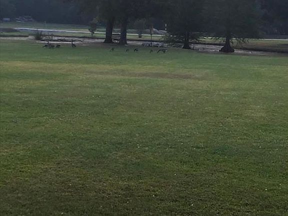 4th image of 8519 Pettit Rd