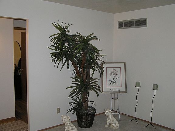 3rd image of 11528 Galba Dr