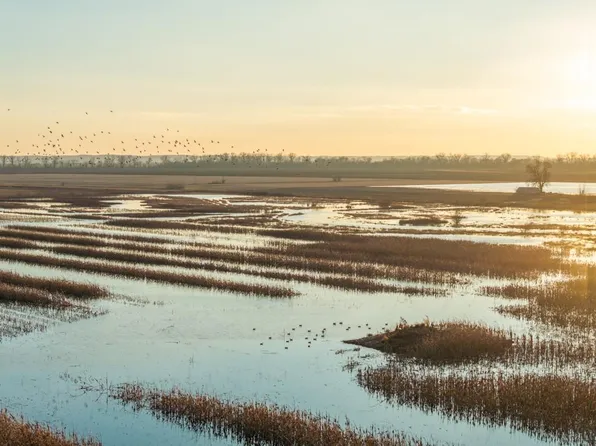 County Road 316, Carrollton, MO 64633