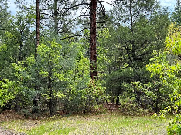 0 Pd #1755, Chama, NM 87520