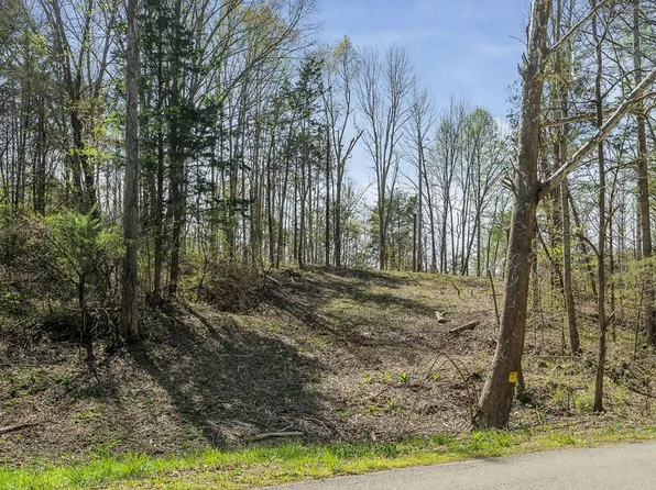 0 Big Springs Farm Tract #19&20, Monroe, TN 38573