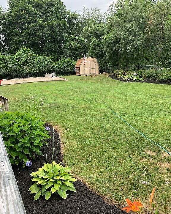 Park like backyard