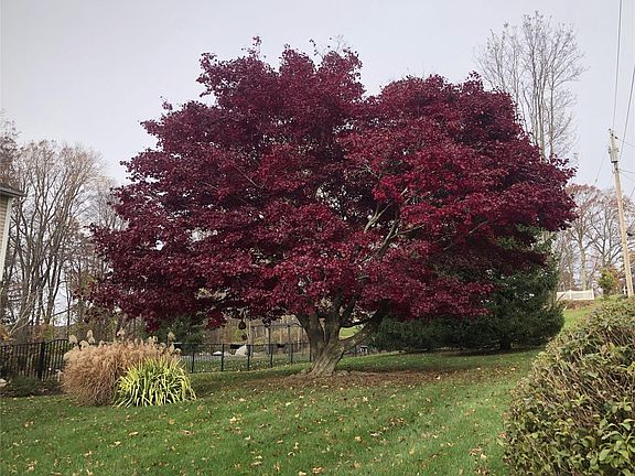 5th image of 3 Pheasant Place