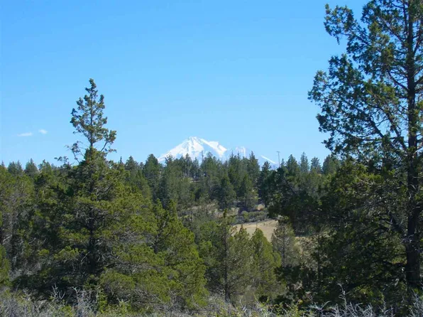 Canary Ln, Hornbrook, CA 96044