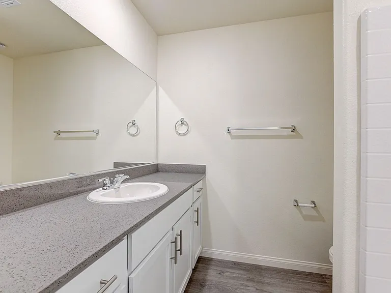 501 Red Lovebird Ave — Photo 44