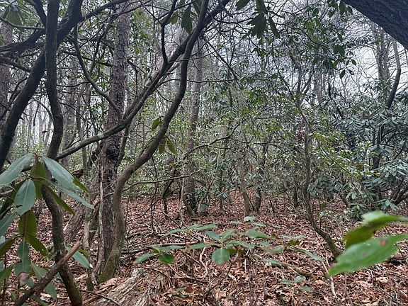 5th image of 7 & 8 Ideal Acres