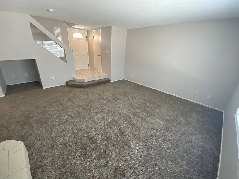 10256 Grecian Laurel Ct — Photo 11