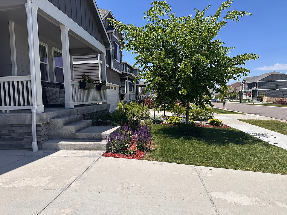 front house