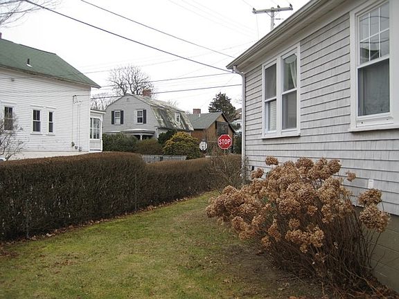 Side yard fragrant in summer with hydrangeas