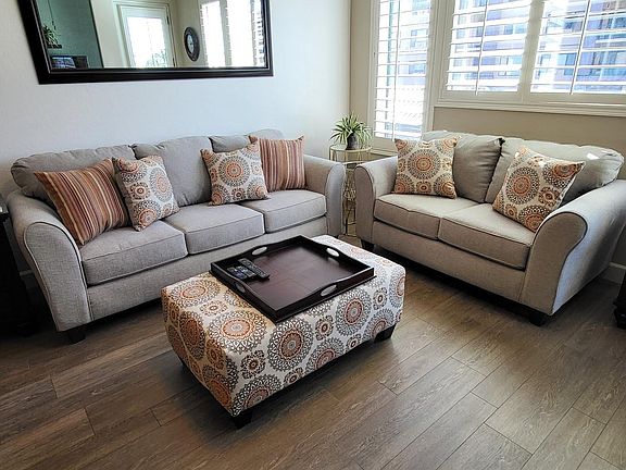 New couch & loveseat (2024)